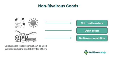 non rivalrous goods